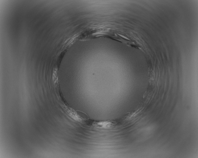 X0000056380478200509232229