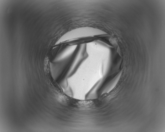 X0000056380480200509232229