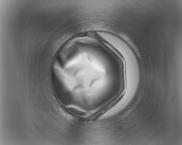 X0000056380481200509232229