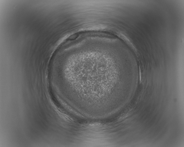 X0000056380483200509232228