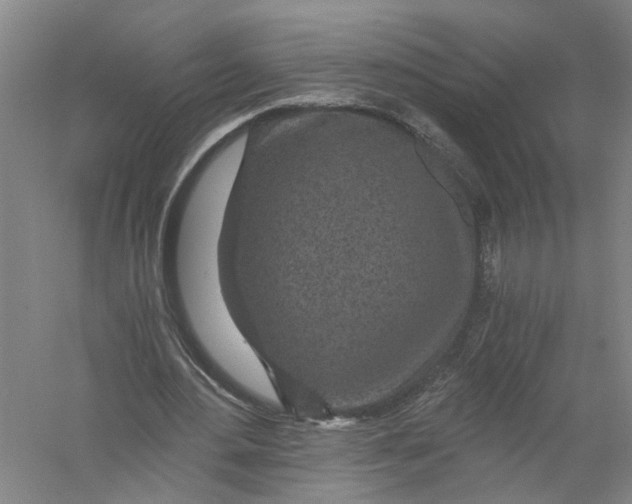 X0000056380484200509232228