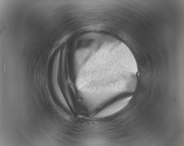 X0000056380486200509232228