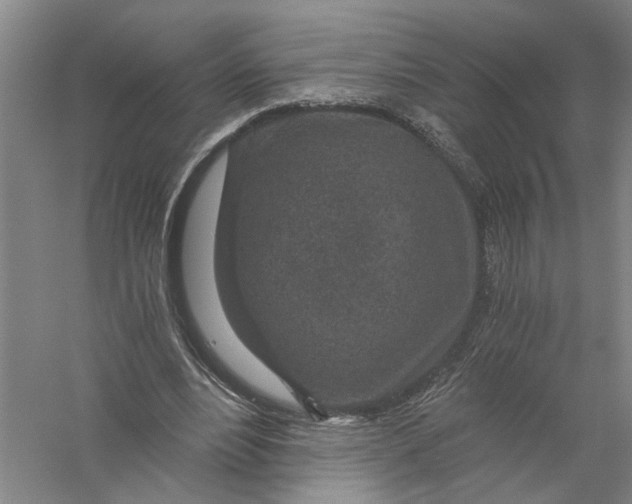 X0000056380488200509232228