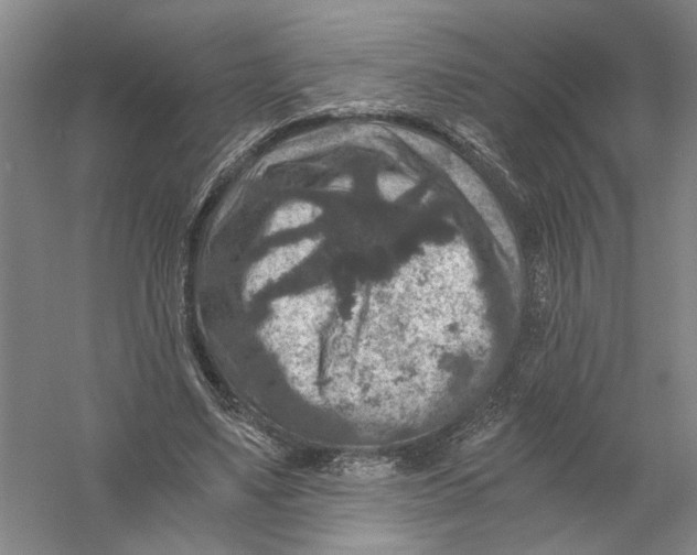 X0000056380491200509232228