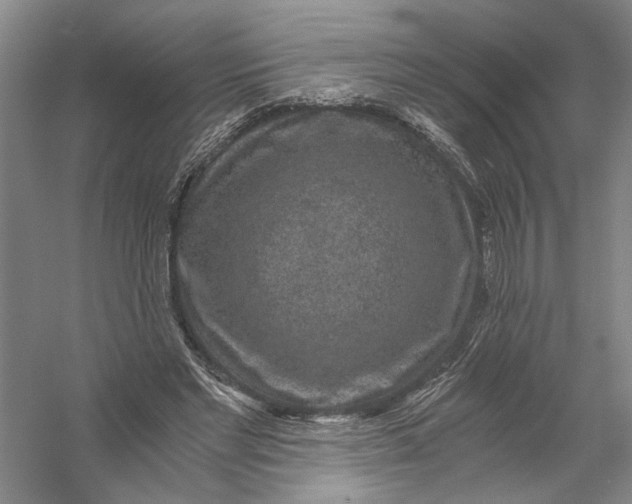 X0000056380493200509232228