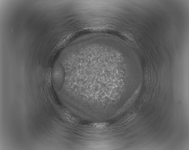 X0000056380495200509232228