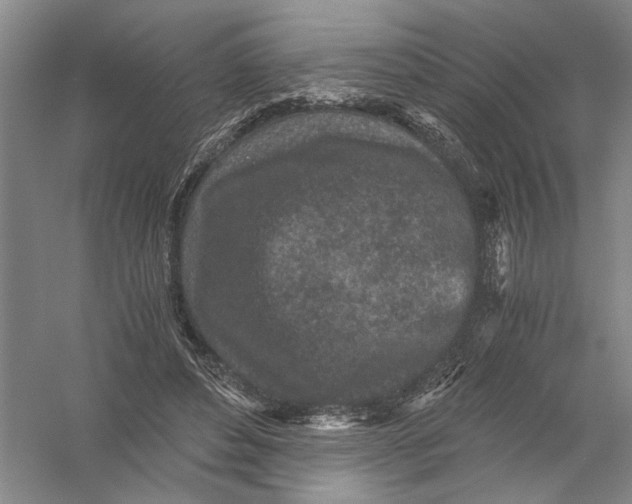 X0000056380496200509232228