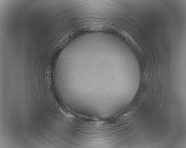 X0000056380497200509232228