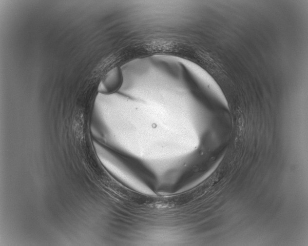 X0000056380498200509232228