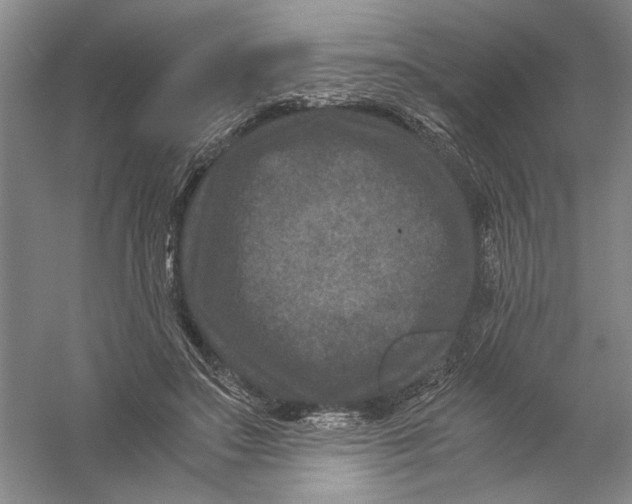 X0000056380499200509232228