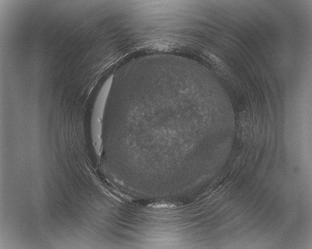 X0000056380500200509232228