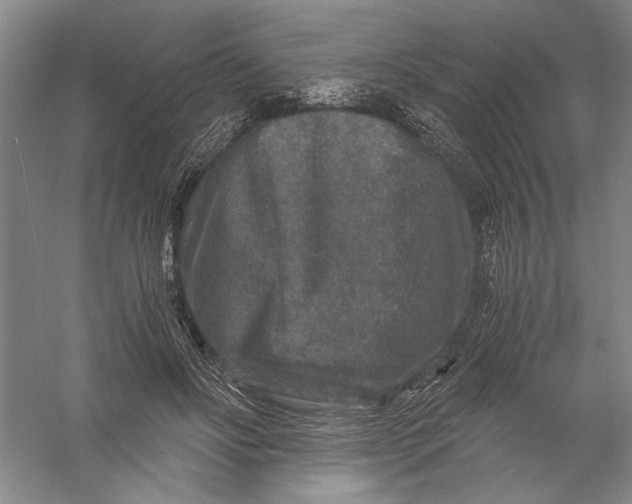 X0000056380502200509232228