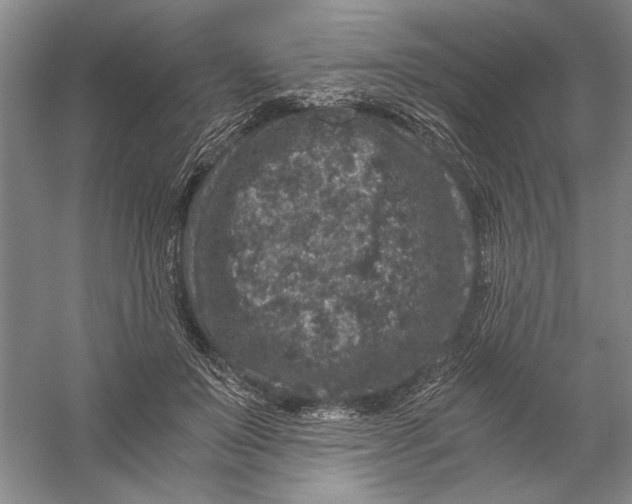 X0000056380503200509232228