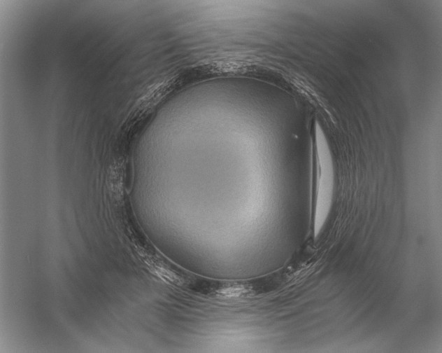 X0000056380505200509232228