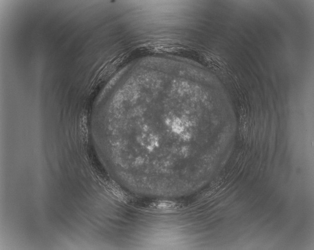 X0000056380506200509232228