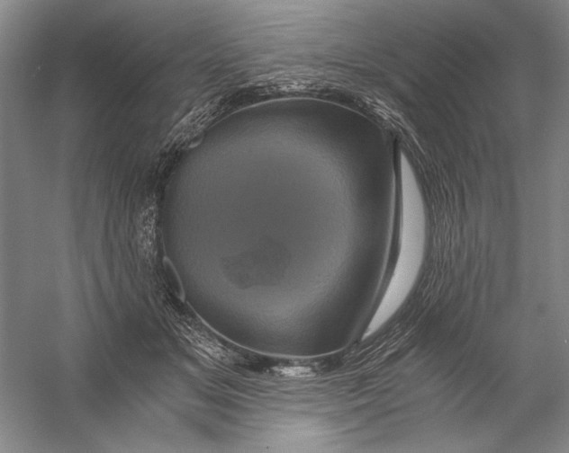 X0000056380509200509232228