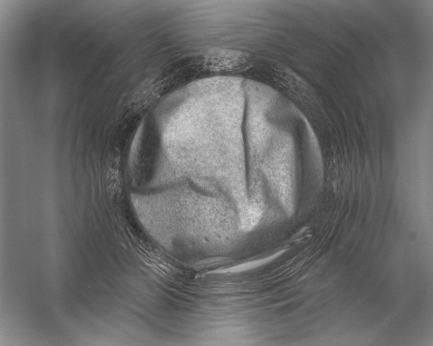 X0000056380510200509232228