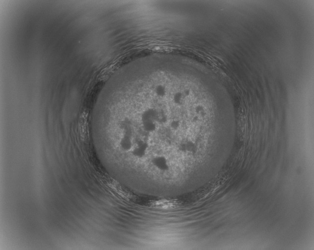 X0000056380511200509232228