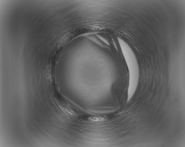 X0000056380512200509232228