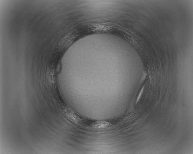 X0000056380514200509232228