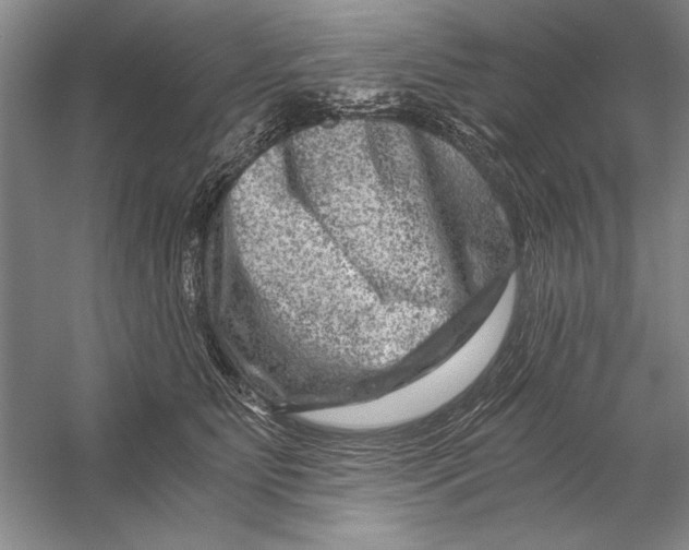 X0000056380515200509232228