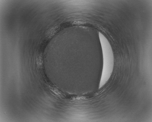 X0000056380517200509232228