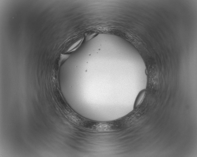 X0000056380518200509232228