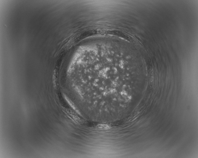 X0000056380519200509232228