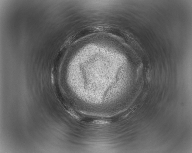 X0000056380520200509232228