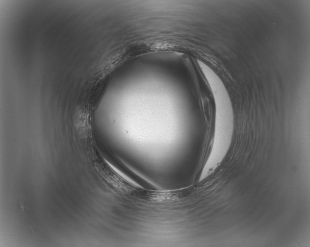 X0000056380521200509232228