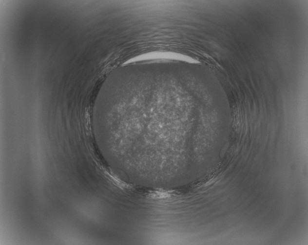 X0000056380523200509232228