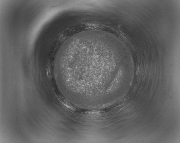 X0000056380524200509232228