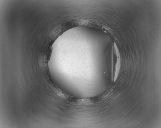 X0000056380525200509232228