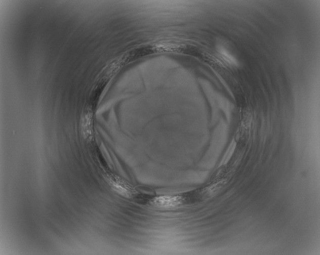 X0000056380526200509232228