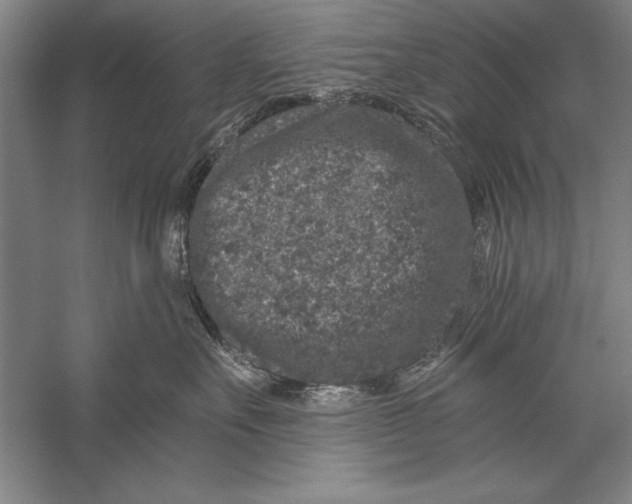 X0000056380527200509232228