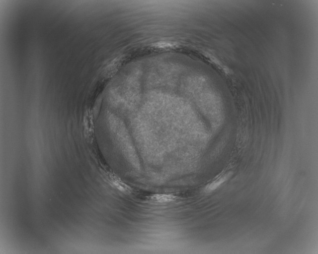 X0000056380528200509232228