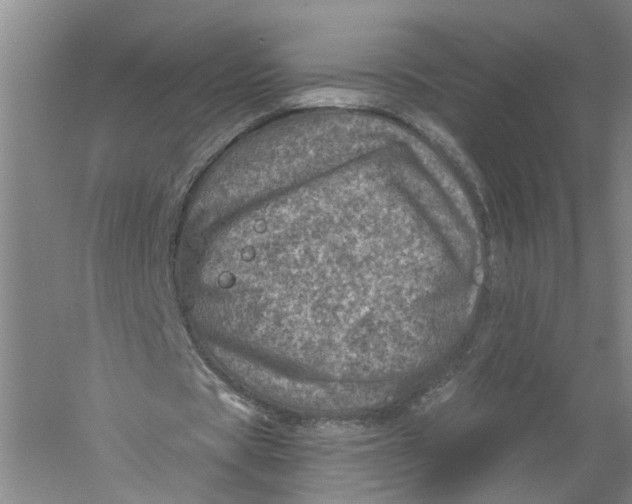 X0000056380529200509232227