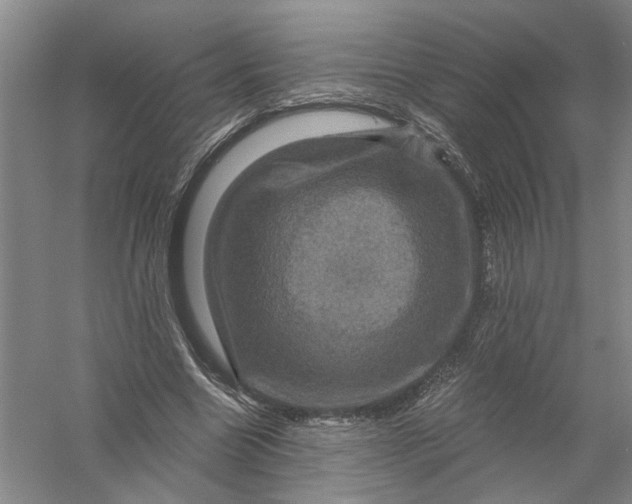 X0000056380538200509232227