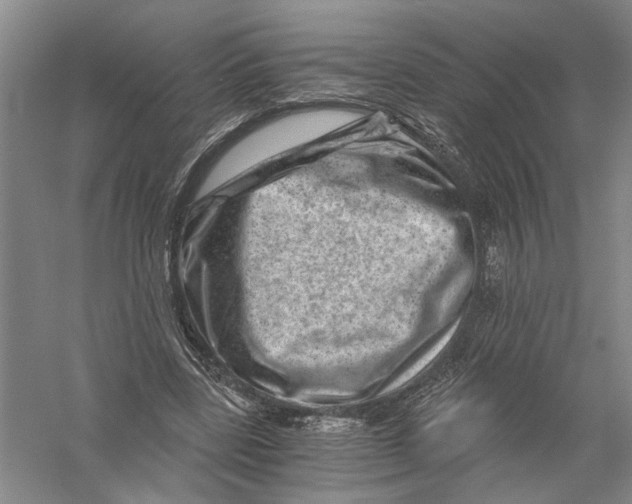 X0000056380539200509232227