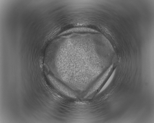 X0000056380545200509232227