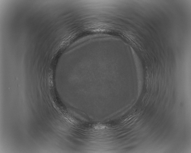 X0000056380547200509232227