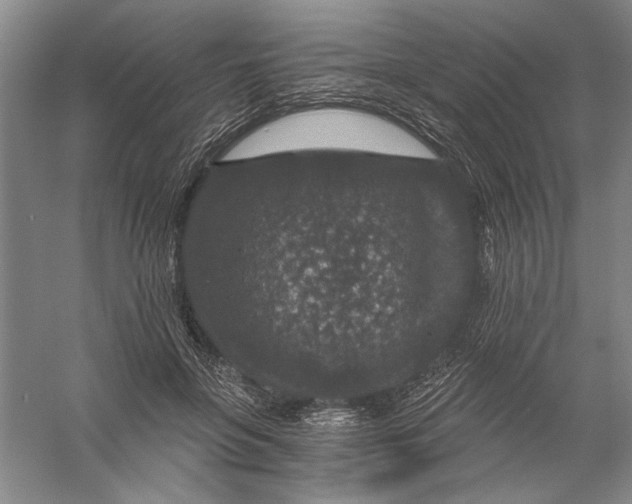 X0000056380551200509232227