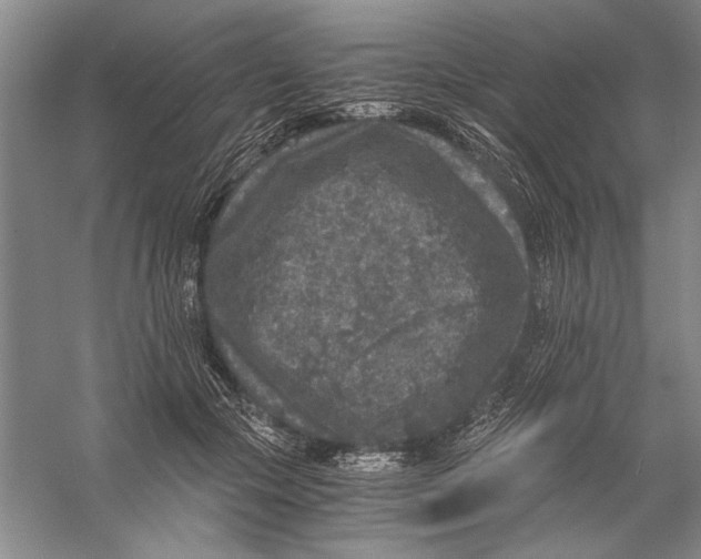 X0000056380553200509232227