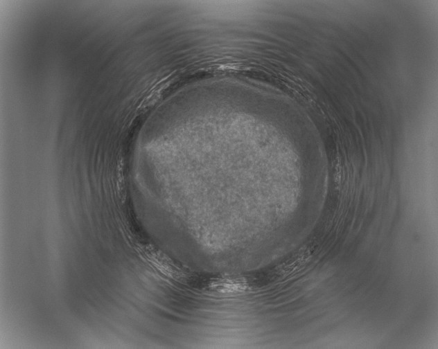 X0000056380559200509232227