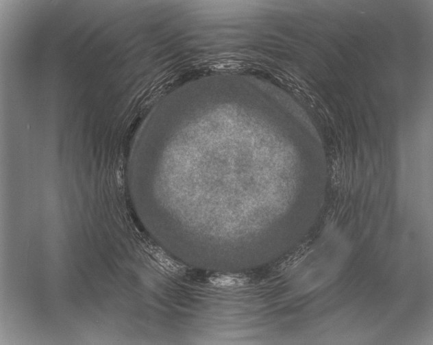 X0000056380561200509232227