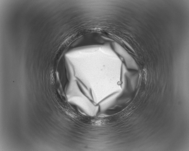 X0000056380564200509232227