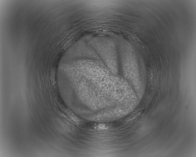 X0000056380565200509232227