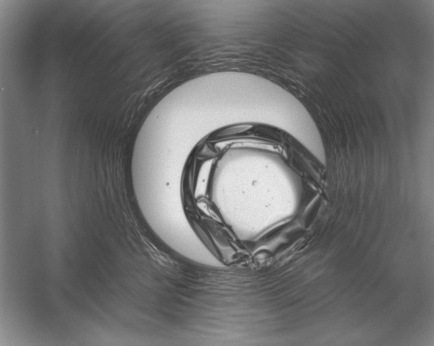 X0000056380570200509232228