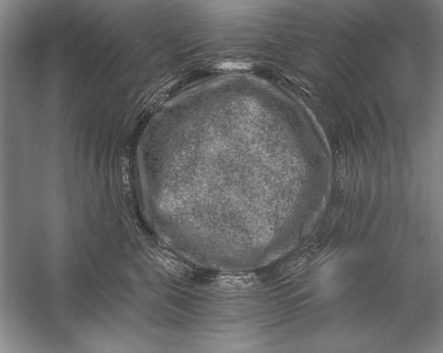 X0000056380571200509232228