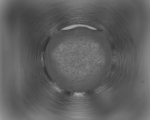 X0000056380573200509232228